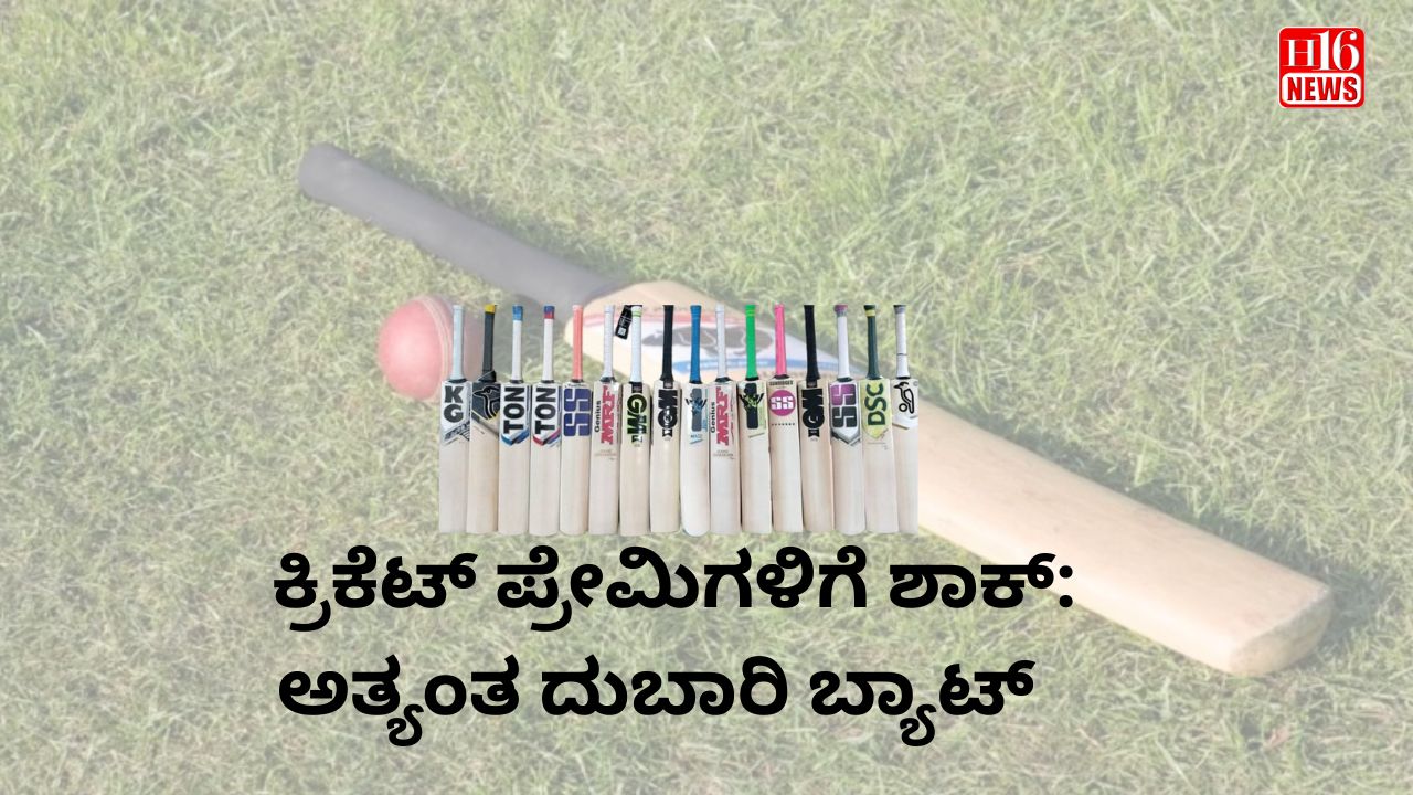 ಕ್ರಿಕೆಟ್ ಪ್ರೇಮಿಗಳಿಗೆ ಶಾಕ್: ಅತ್ಯಂತ ದುಬಾರಿ ಬ್ಯಾಟ್