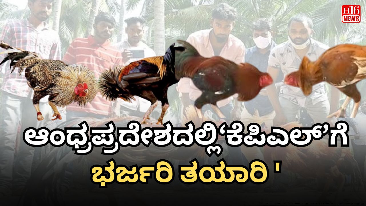 IPL ಶೈಲಿಯಲ್ಲಿ 'ಕೆಪಿಎಲ್' : ಆಂಧ್ರಪ್ರದೇಶದಲ್ಲಿ ಕೋಳಿ ಕಾಳಗಕ್ಕೆ ಸಕಲ ಸಿದ್ಧತೆ .
