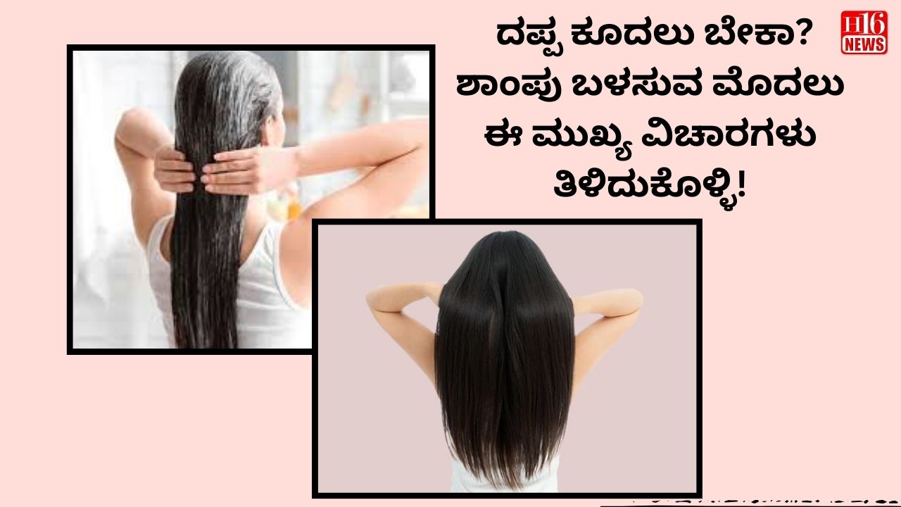 ದಪ್ಪ ಕೂದಲು ಬೇಕಾ? ಶಾಂಪು ಬಳಸುವ ಮೊದಲು ಈ ಮುಖ್ಯ ವಿಚಾರಗಳು ತಿಳಿದುಕೊಳ್ಳಿ!
