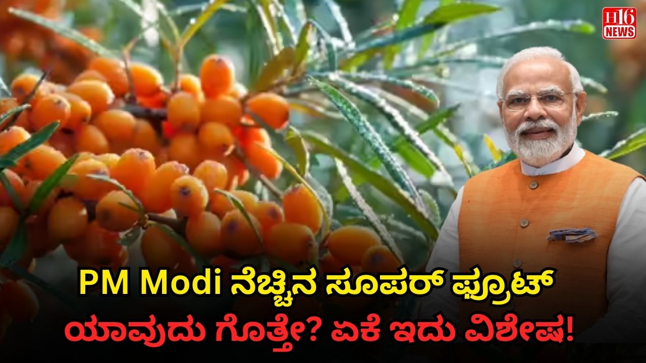 PM Modi ನೆಚ್ಚಿನ ಸೂಪರ್ ಫ್ರೂಟ್ ಯಾವುದು ಗೊತ್ತೇ? ಏಕೆ ಇದು ವಿಶೇಷ!