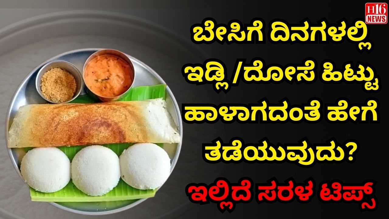 ಬೇಸಿಗೆ ದಿನಗಳಲ್ಲಿ ಇಡ್ಲಿ /ದೋಸೆ ಹಿಟ್ಟು ಹಾಳಾಗದಂತೆ ಹೇಗೆ ತಡೆಯುವುದು? ಇಲ್ಲಿದೆ ಸರಳ ಟಿಪ್ಸ್
