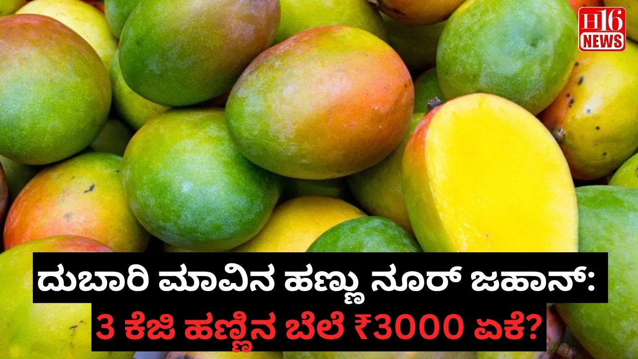 ದುಬಾರಿ ಮಾವಿನ ಹಣ್ಣು ನೂರ್ ಜಹಾನ್: 3 ಕೆಜಿ ಹಣ್ಣಿನ ಬೆಲೆ ₹3000 ಏಕೆ?