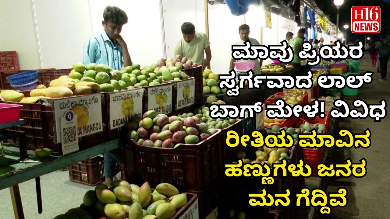 ಮಾವು ಪ್ರಿಯರ ಸ್ವರ್ಗವಾದ ಲಾಲ್ ಬಾಗ್ ಮೇಳ! ವಿವಿಧ ರೀತಿಯ ಮಾವಿನ ಹಣ್ಣುಗಳು ಜನರ ಮನ ಗೆದ್ದಿವೆ