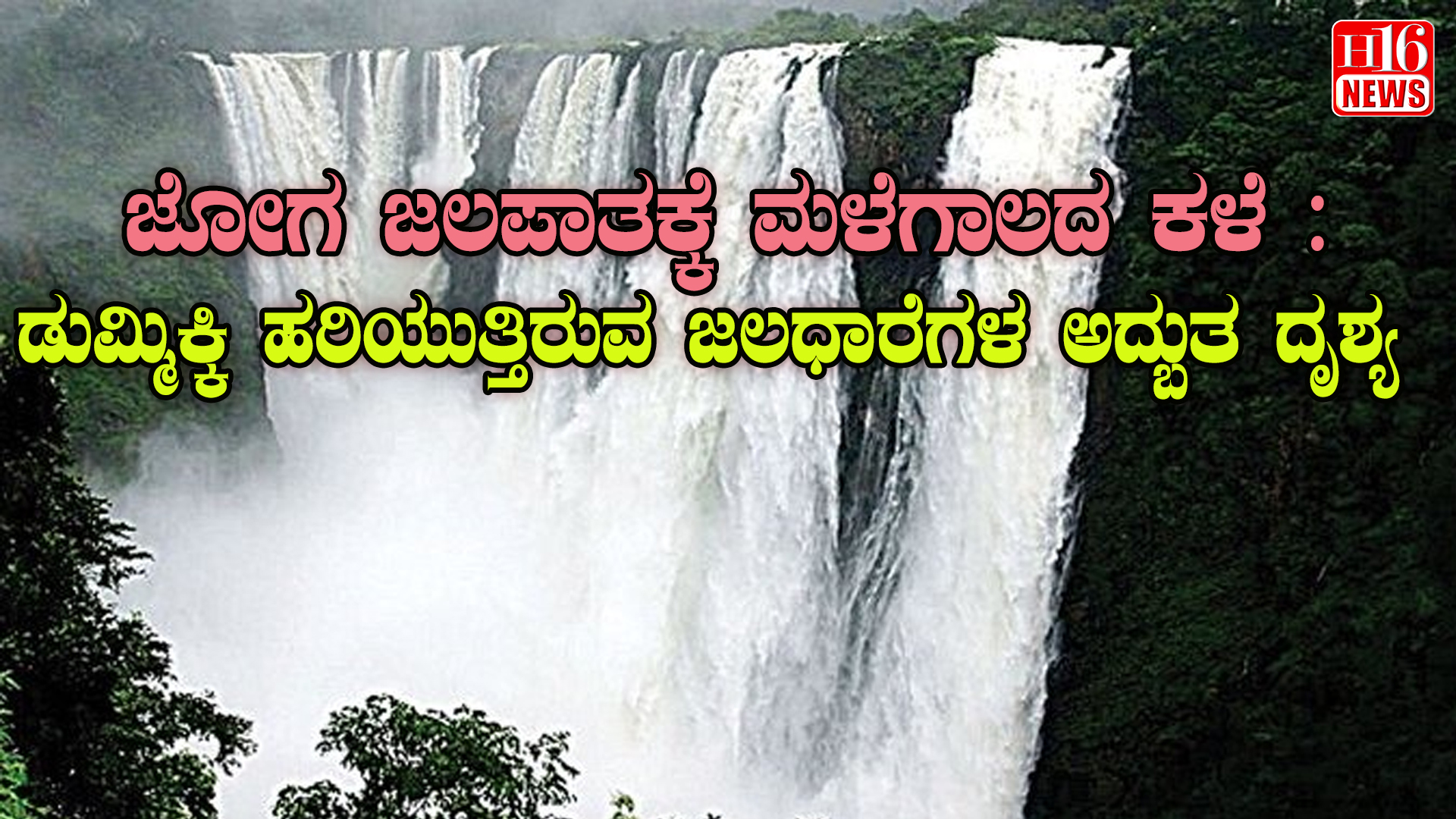 ಜೋಗ ಜಲಪಾತಕ್ಕೆ ಮಳೆಗಾಲದ ಕಳೆ : ಡುಮ್ಮಿಕ್ಕಿ ಹರಿಯುತ್ತಿರುವ ಜಲಧಾರೆಗಳ ಅದ್ಬುತ ದೃಶ್ಯ