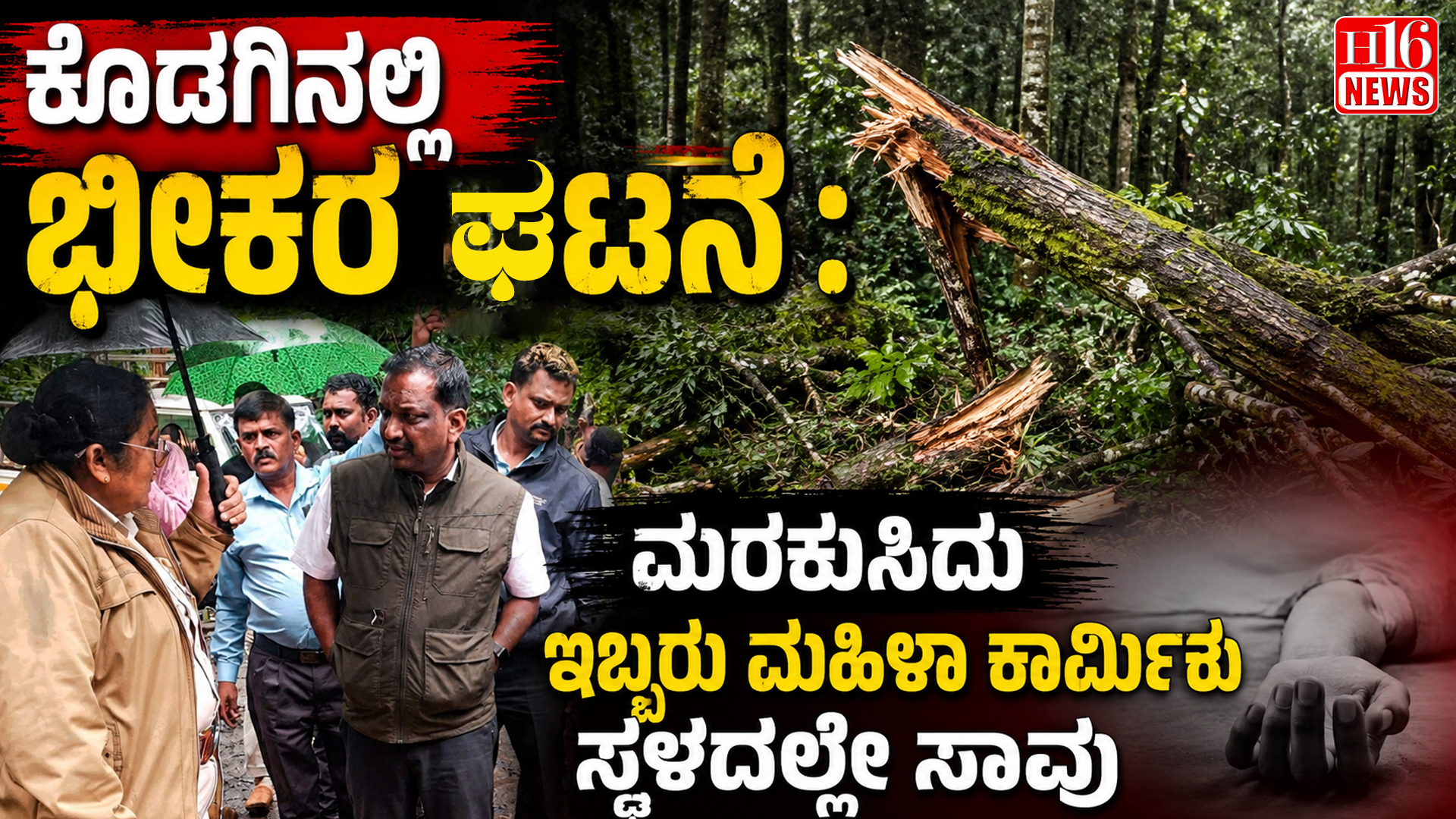 ಕೊಡಗಿನಲ್ಲಿ ಭೀಕರ ಘಟನೆ : ಮರ ಕುಸಿದು ಇಬ್ಬರು ಮಹಿಳಾ ಕಾರ್ಮಿಕರು ಸ್ಥಳದಲ್ಲೇ ಸಾವು